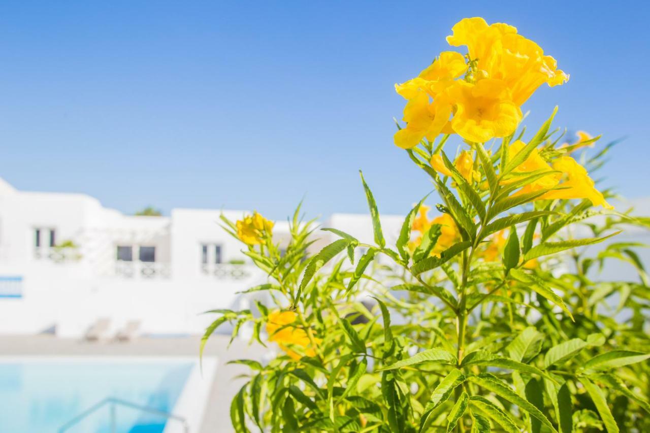 Flower Beach Suite 6 Playa Honda  Eksteriør bilde